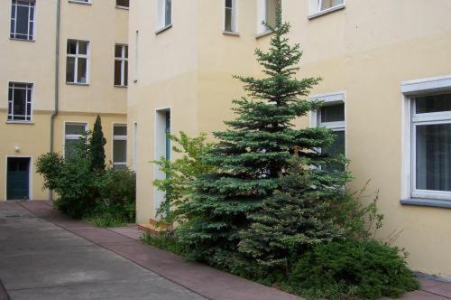 Hotel Pension Streuhof Berlino Esterno foto